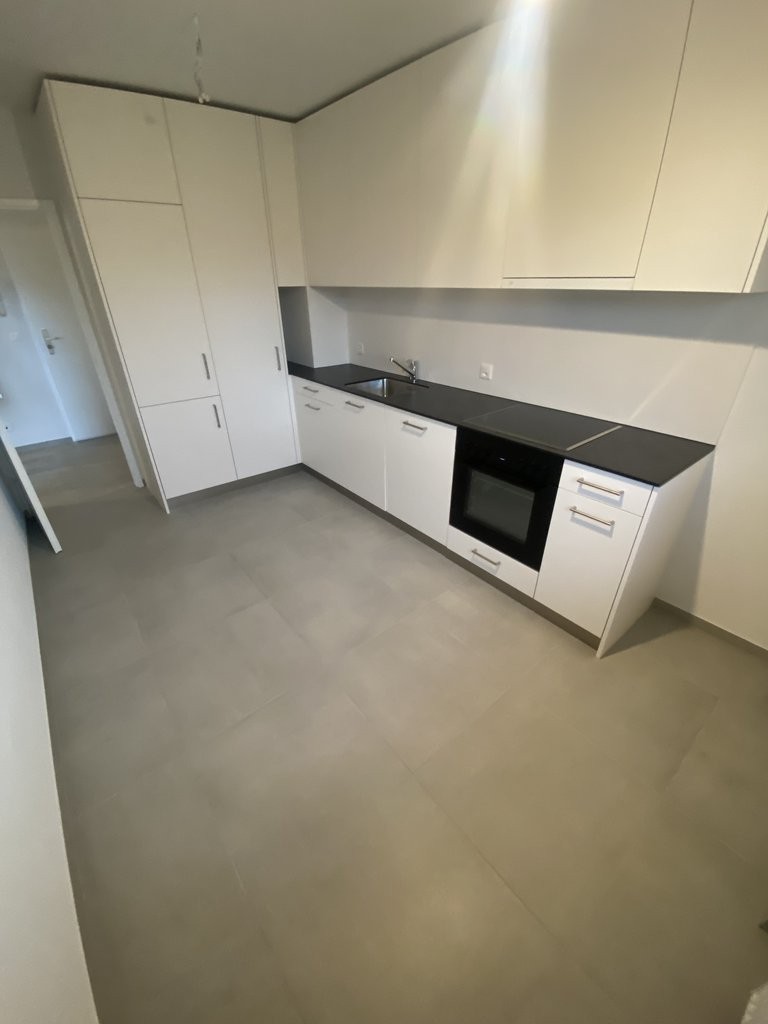 3 ½ Zimmer-Wohnung