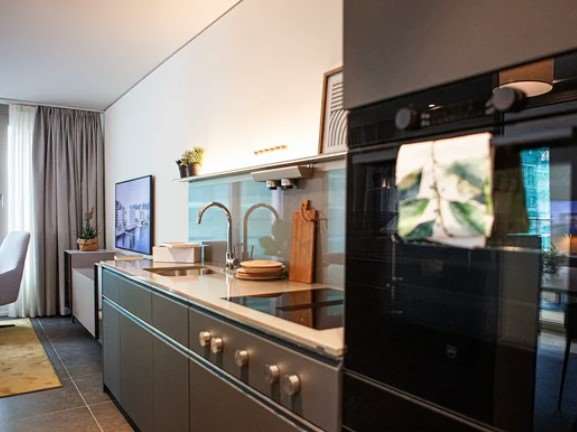 3 ½ rooms furnished flat