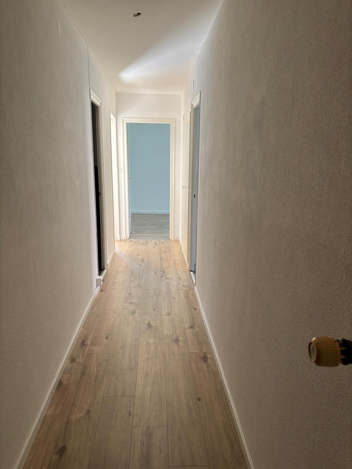 2-Zimmer-Wohnung