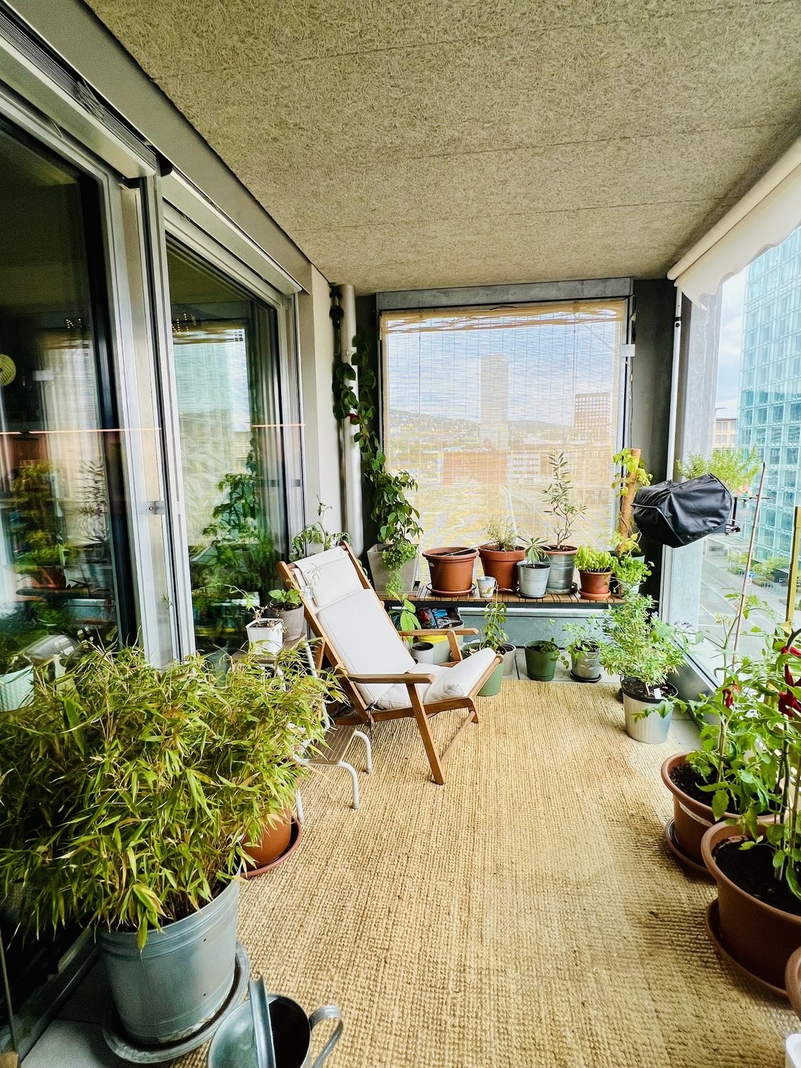 Appartement meublé de 2 ½ pièces