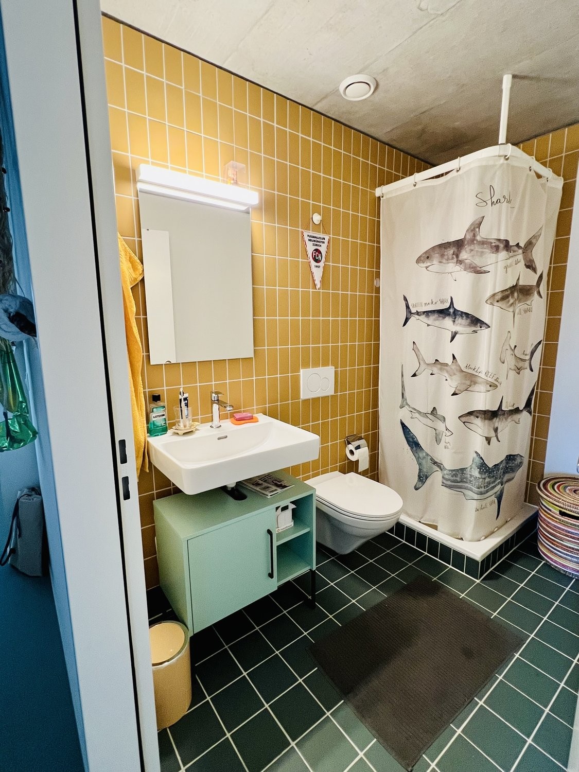 Appartement meublé de 2 ½ pièces