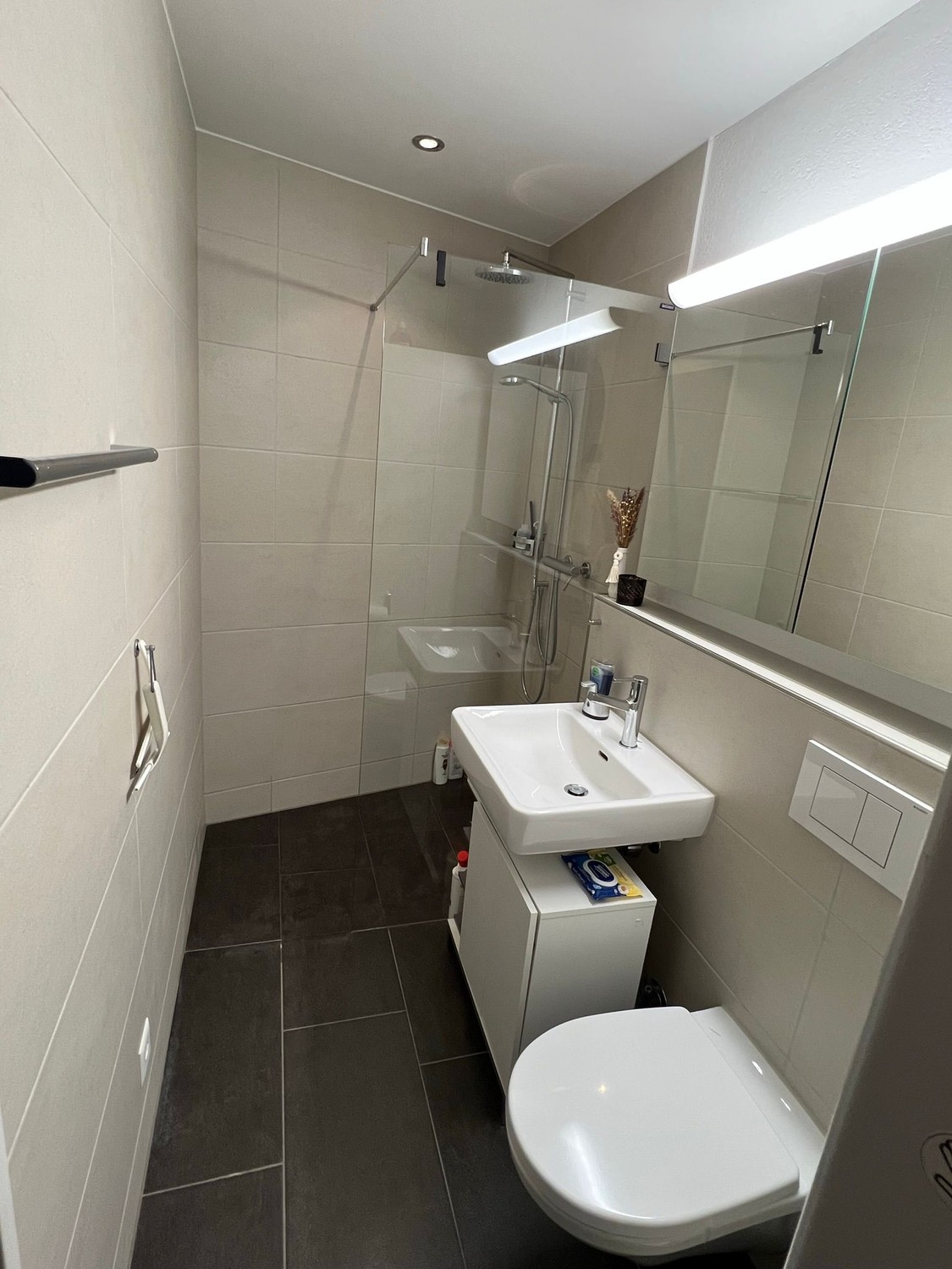 Appartement de 3 ½ pièces
