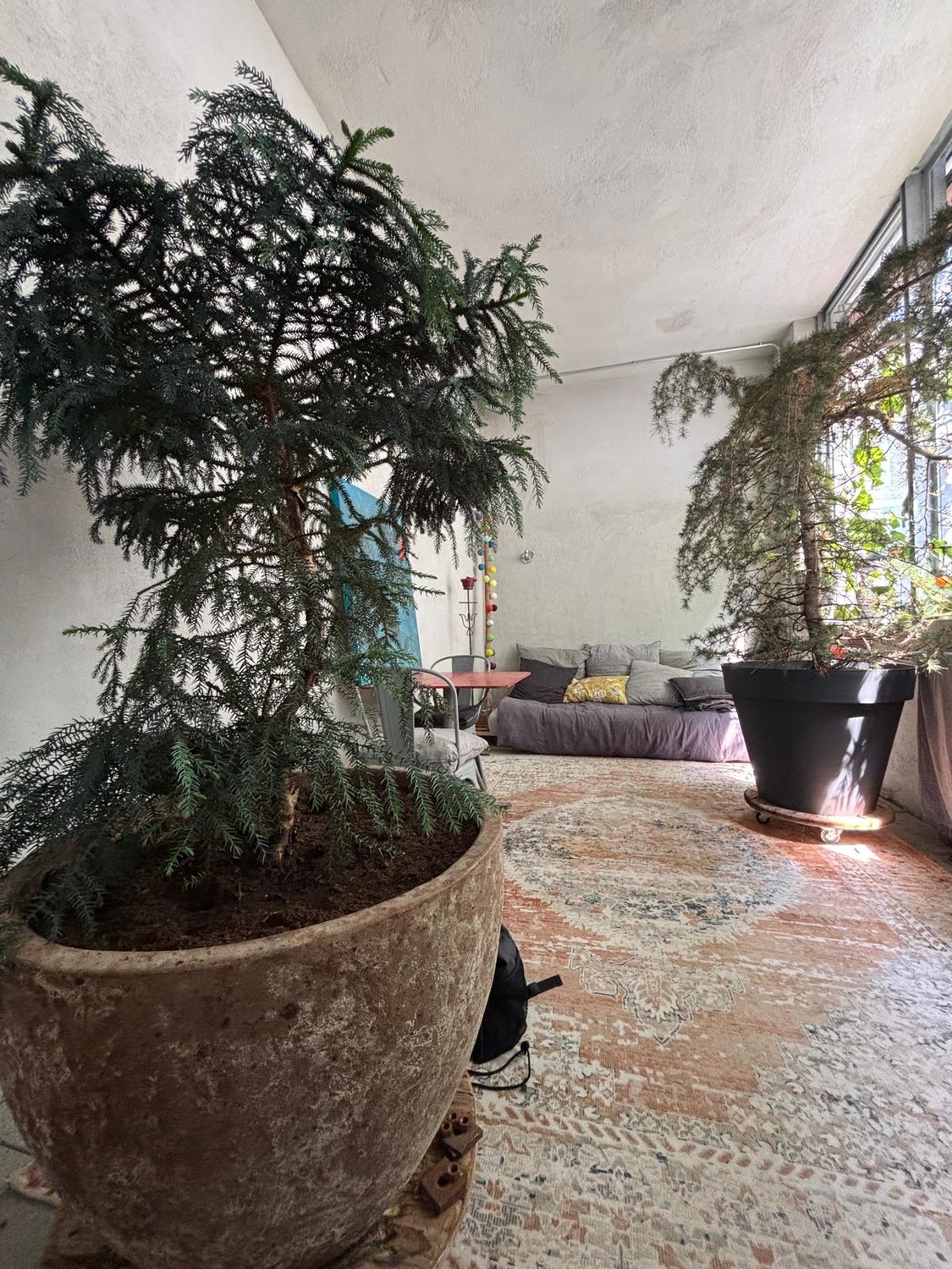 Appartement de 1 ½ pièces