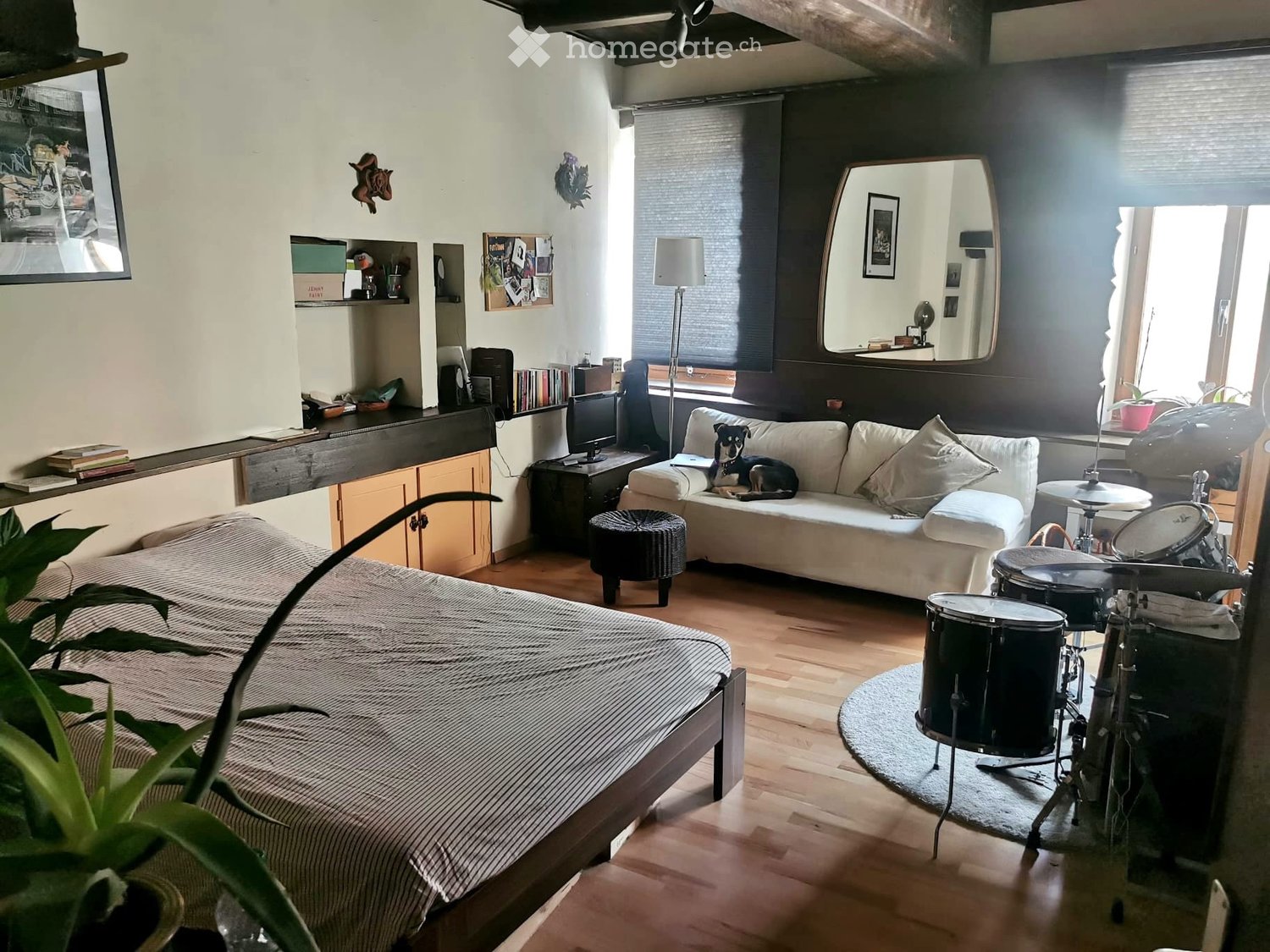 1 room single room