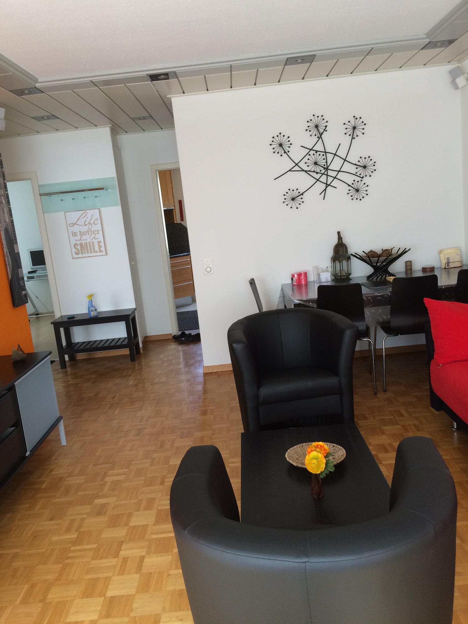 Appartamento arredato di 3 ½ locali
