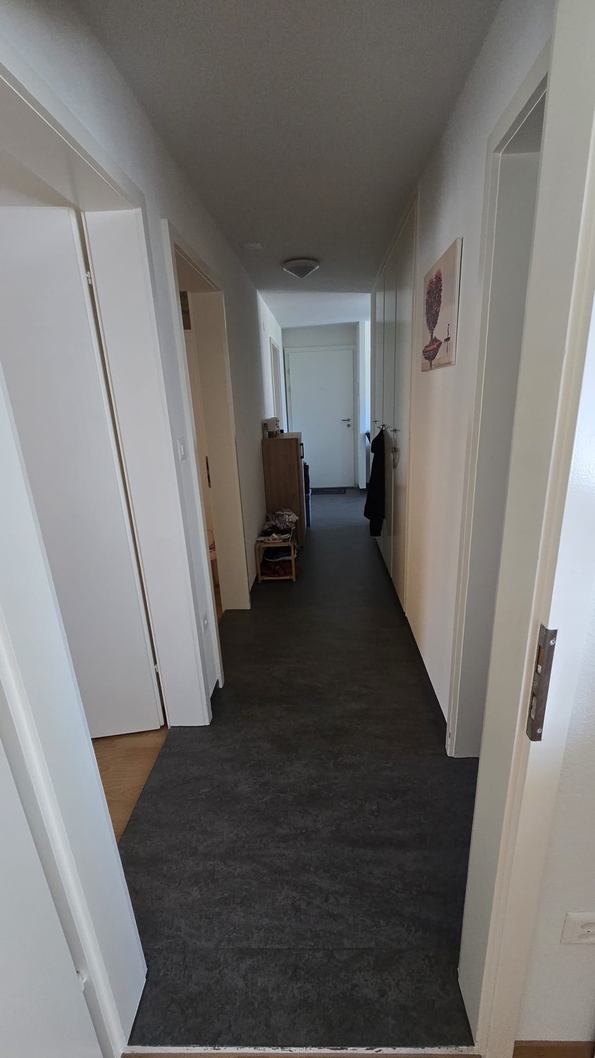 Appartamento di 4 ½ locali