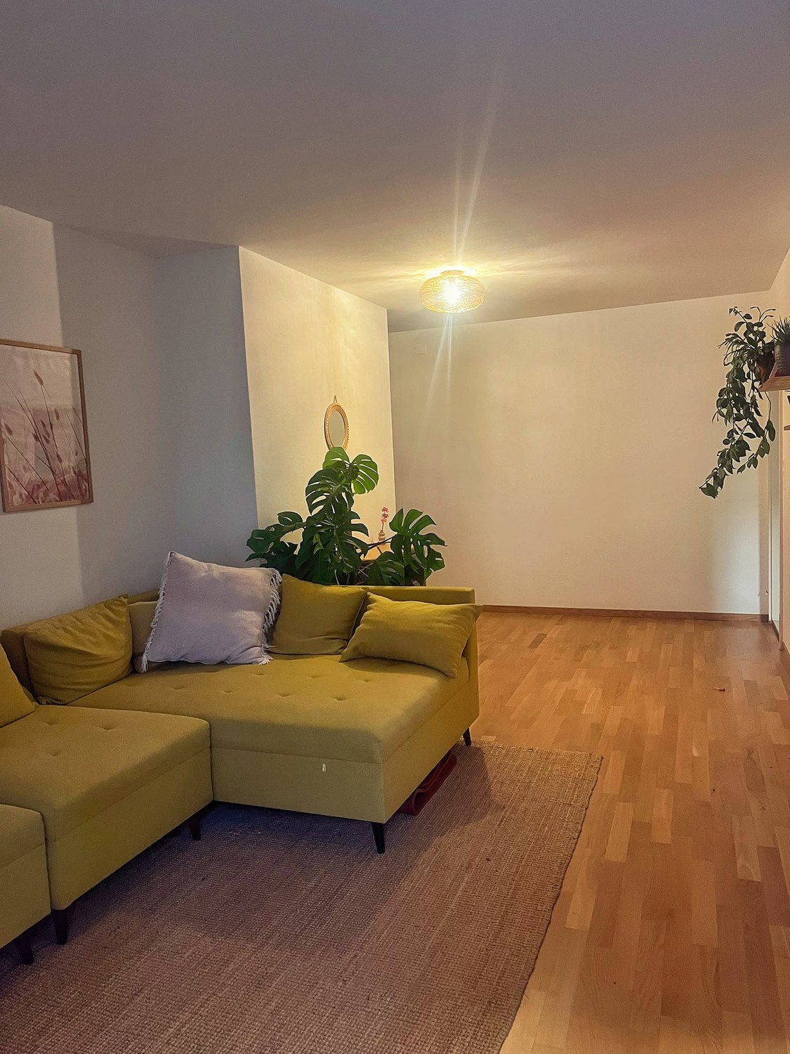 4 ½ rooms apartment