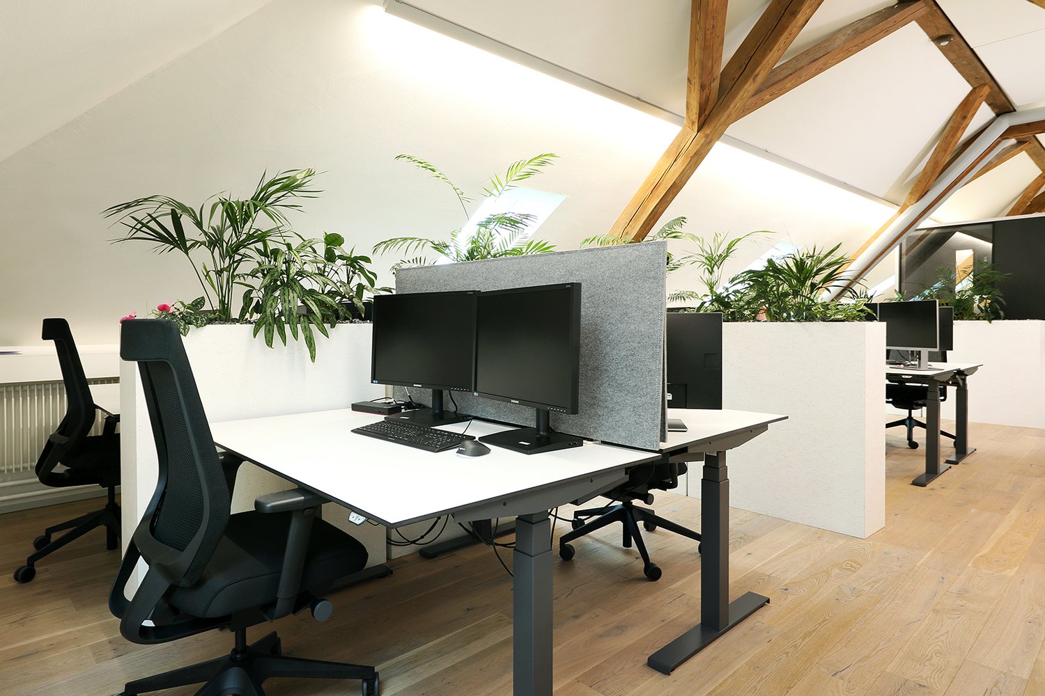 171m² office