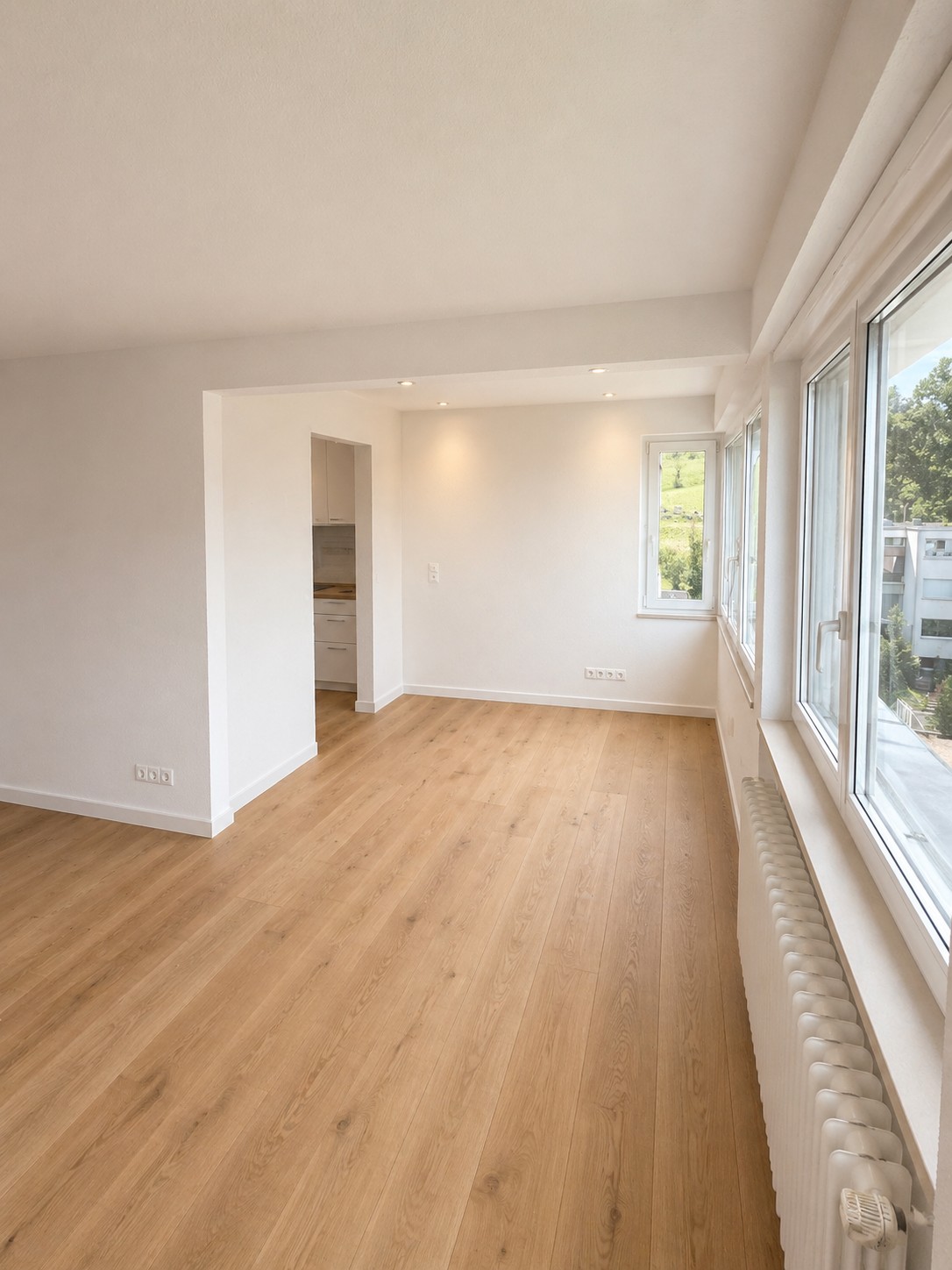3 ½ rooms apartment