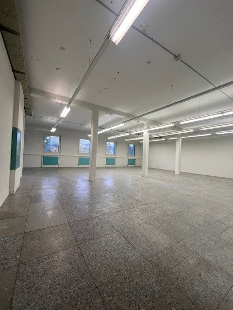 167m² commerciale