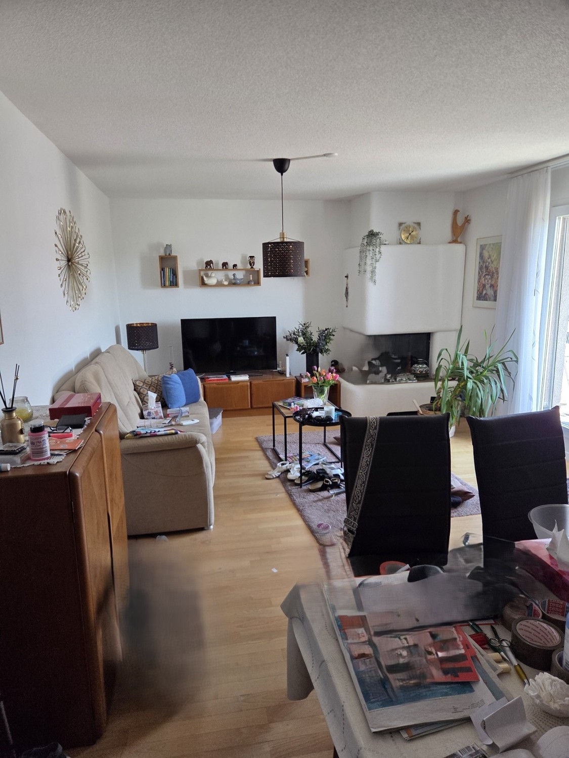 Appartement de 3 ½ pièces