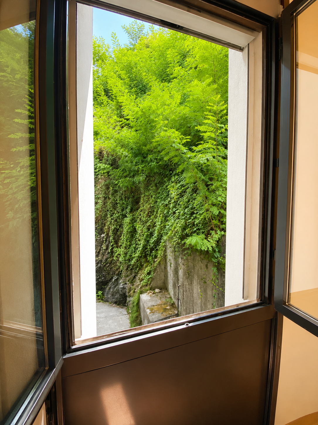 Appartement de 1 ½ pièces avec terrasse