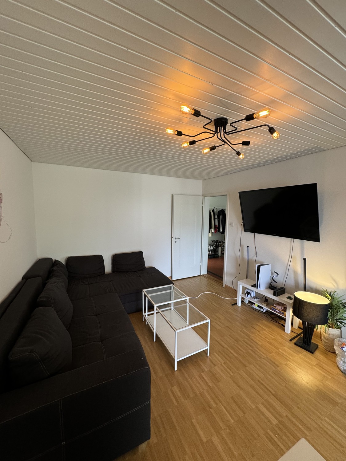 Room in a shared flat