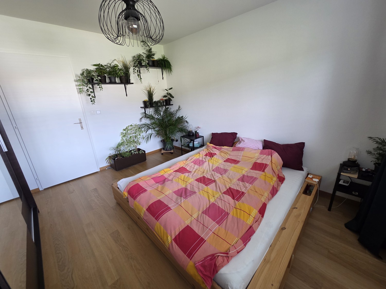 Room in a shared flat
