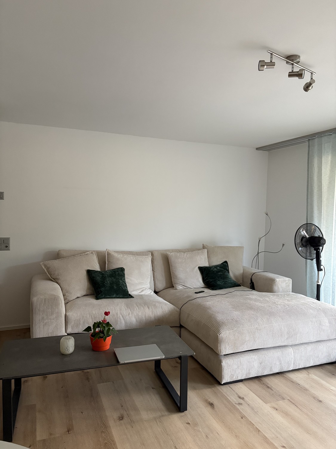 Room in a shared flat