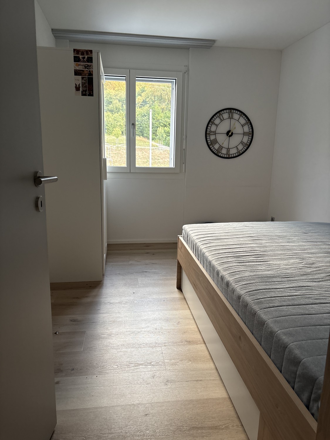 Room in a shared flat