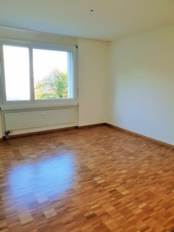 Appartamento di 4 ½ locali