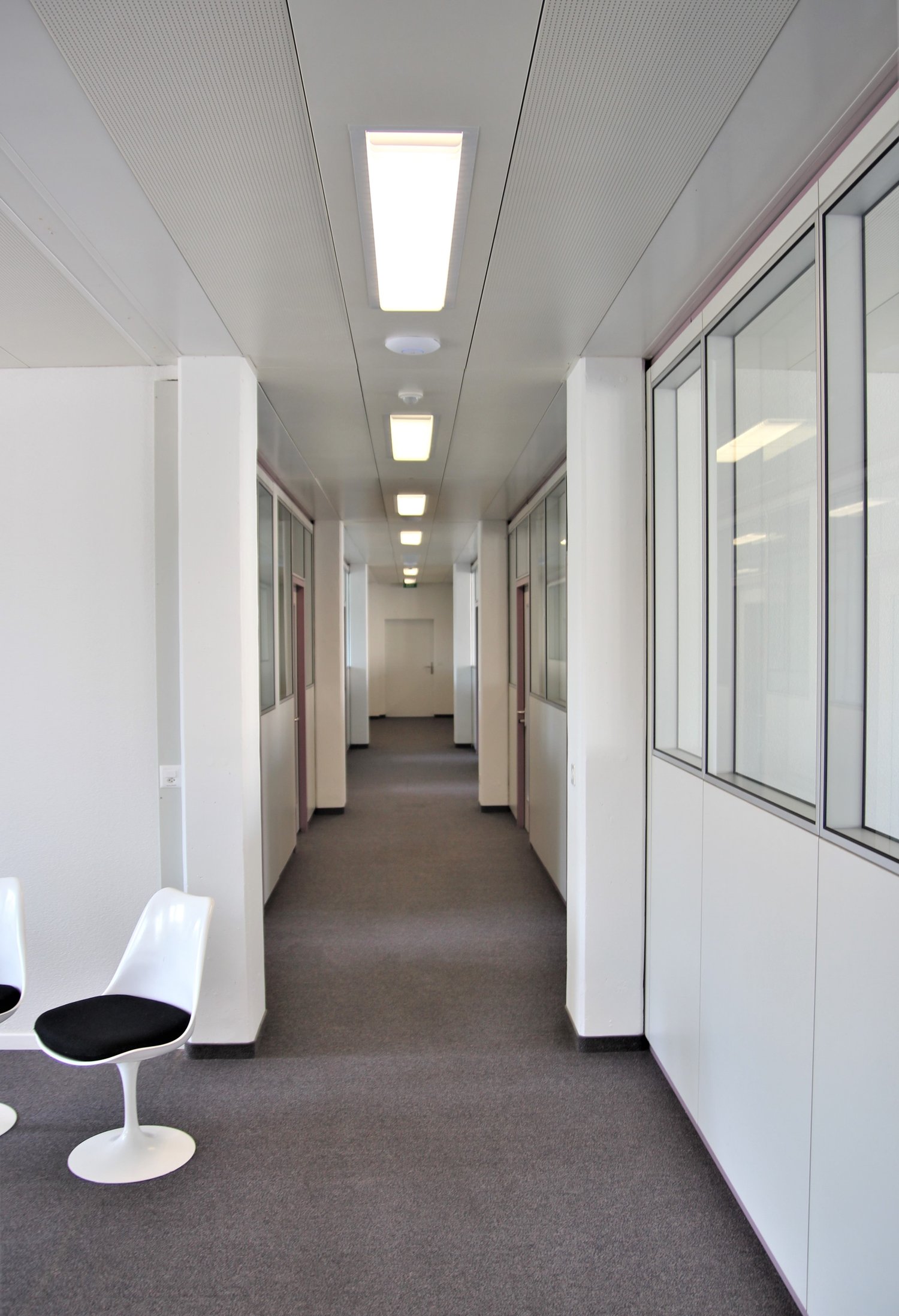 31m² office