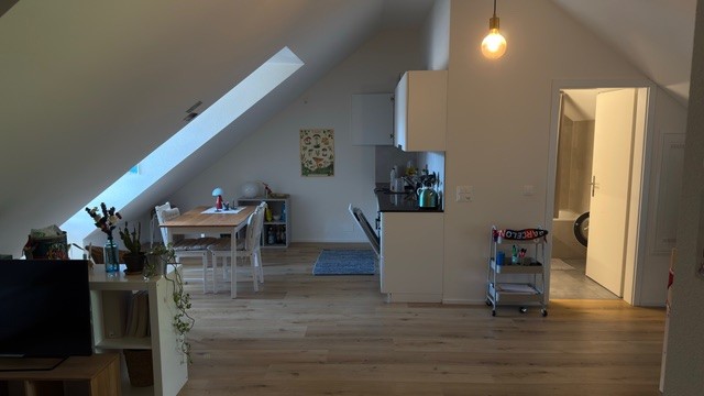 Appartamento mansardato di 1 ½ locali