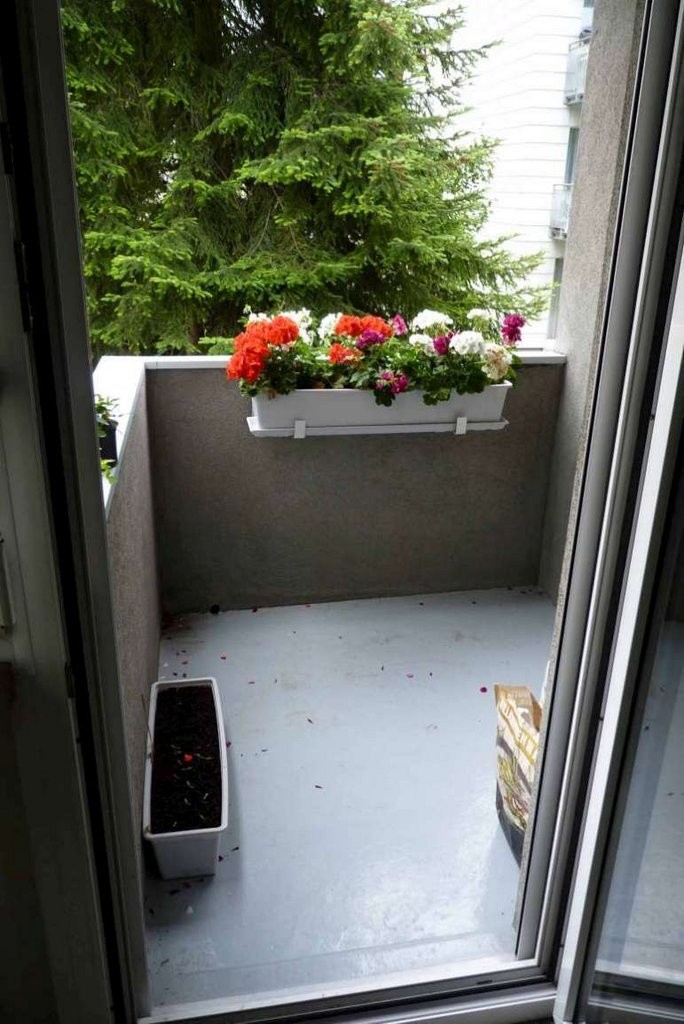 Appartement de 2 ½ pièces