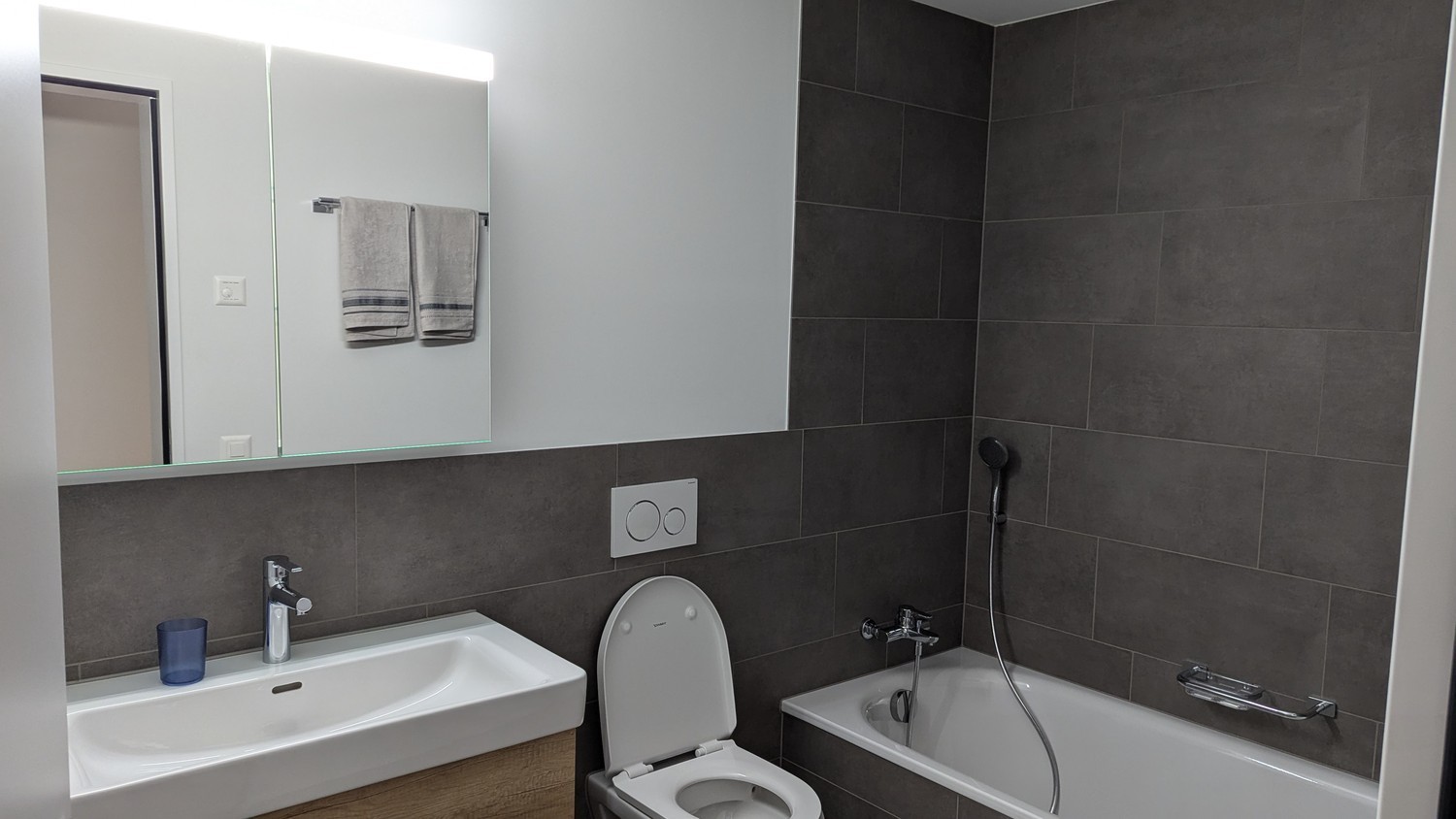 Appartement de 3 ½ pièces