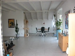 Appartamento di 5 ½ locali
