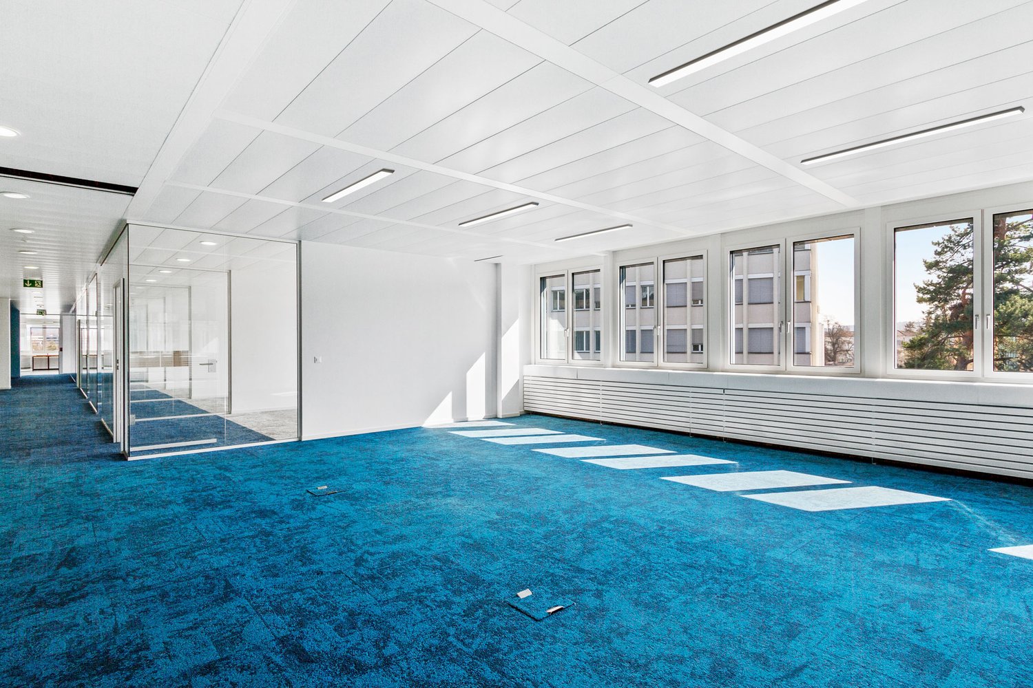 1005m² office