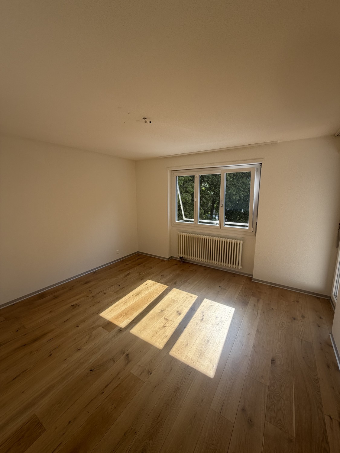 Appartamento di 4 ½ locali
