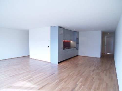 4 ½ rooms duplex