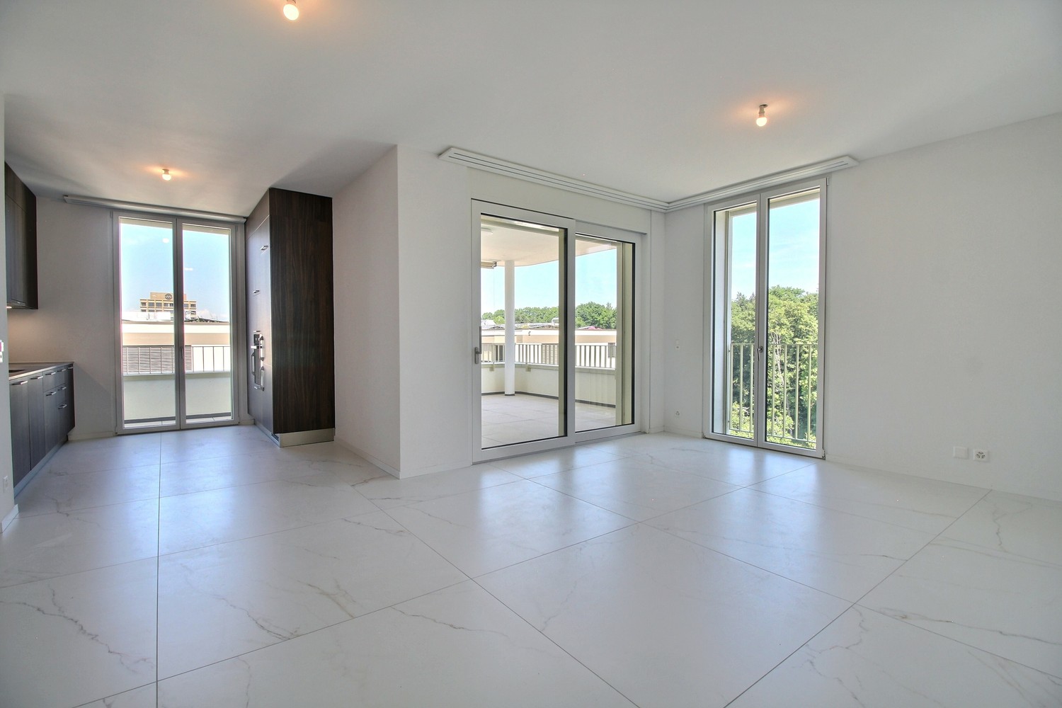 4 ½ rooms apartment