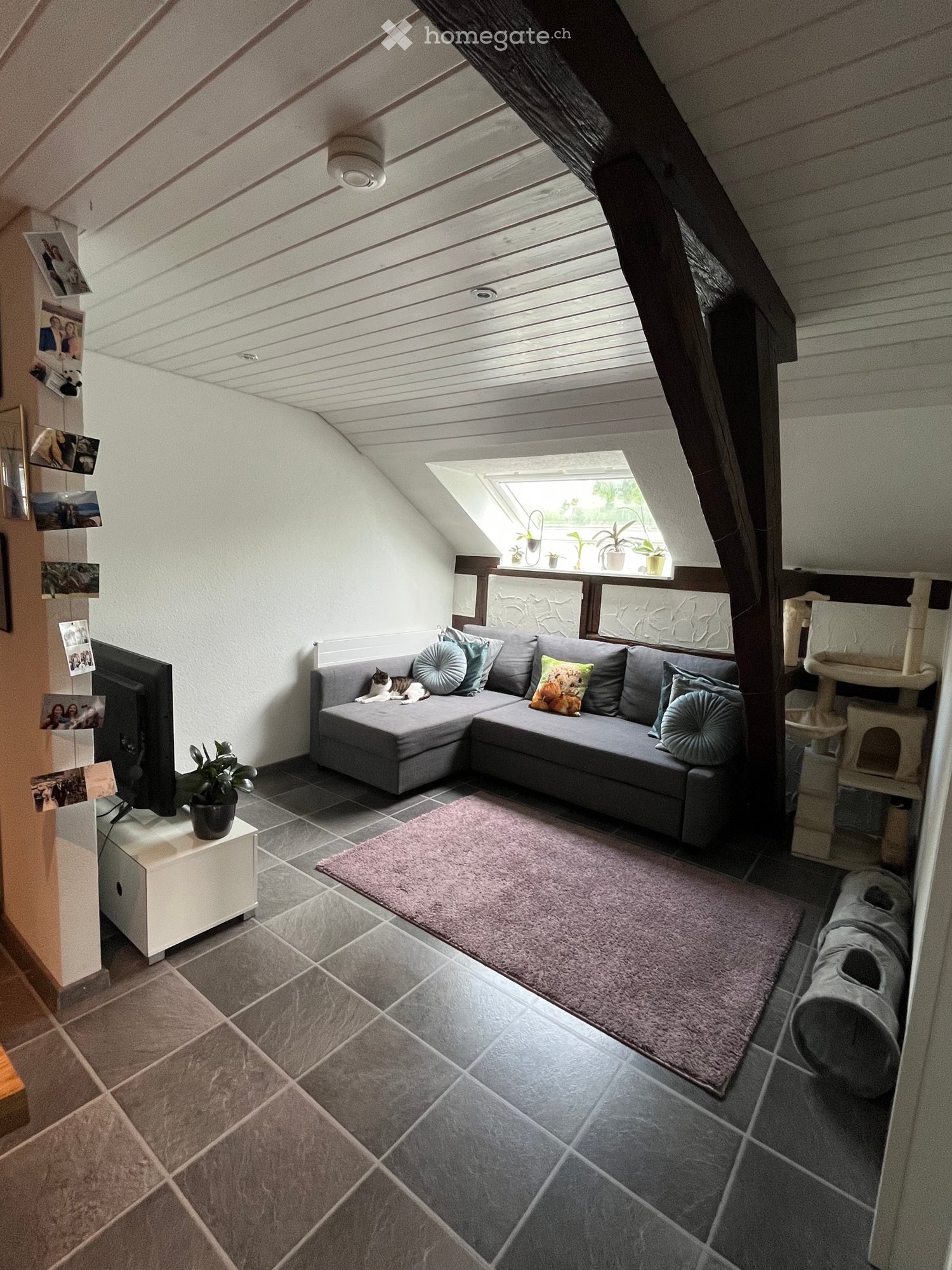 3 rooms apartment
