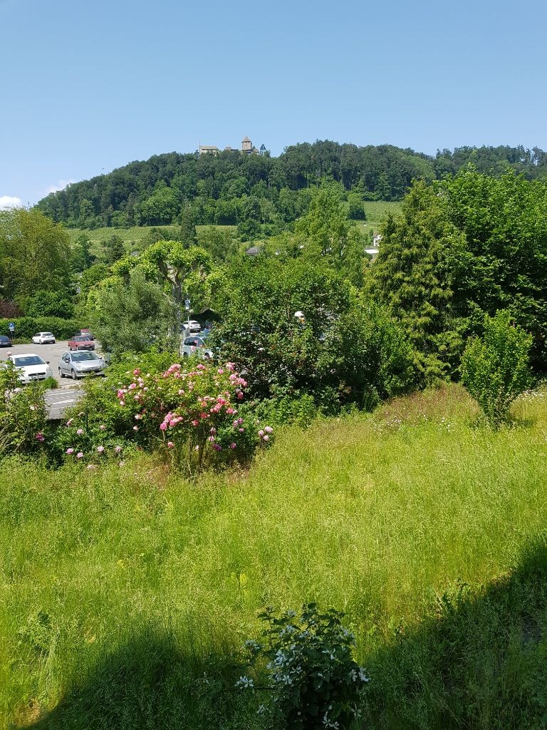 Appartamento di 3 locali