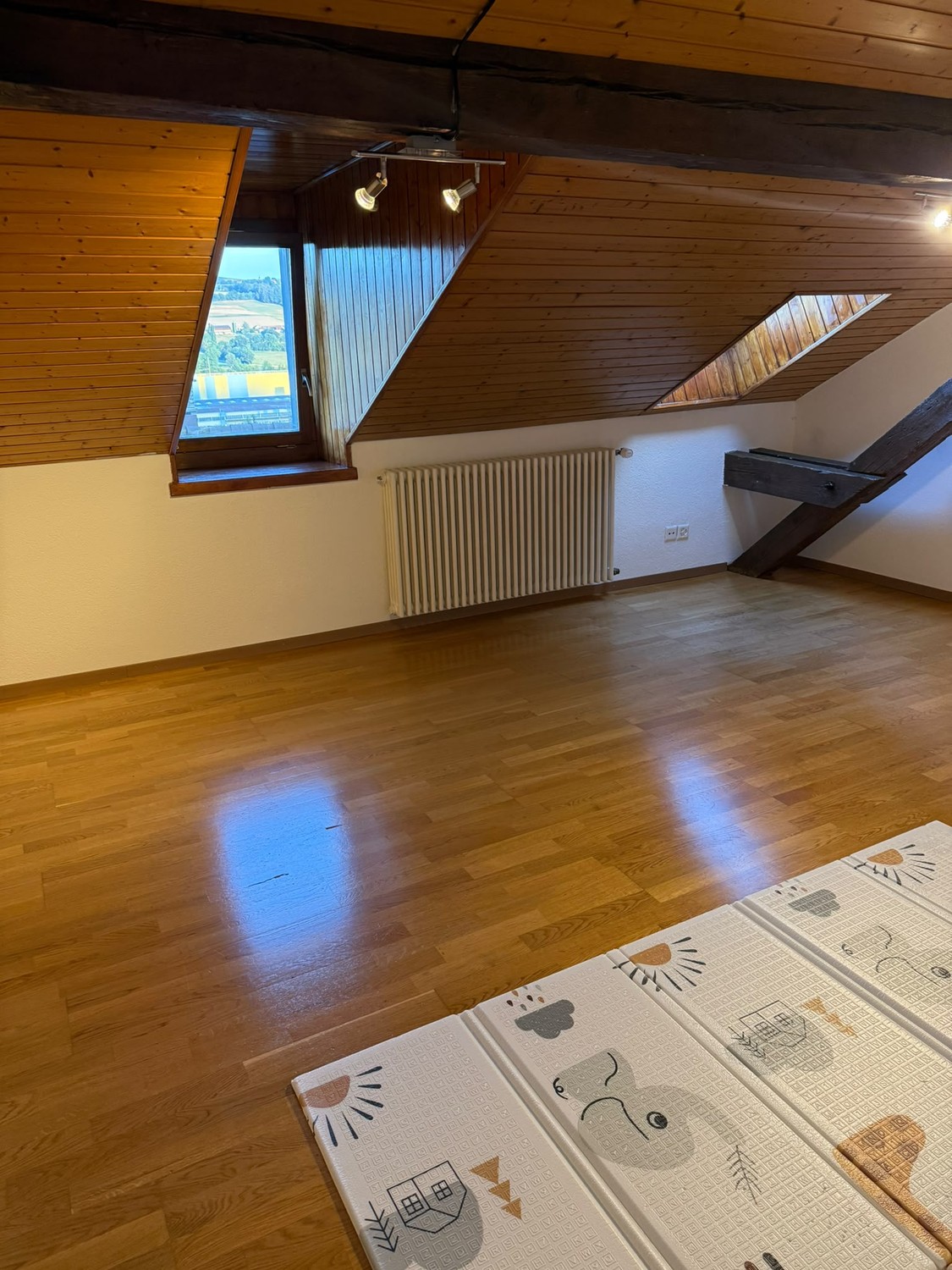 Appartamento di 3 ½ locali