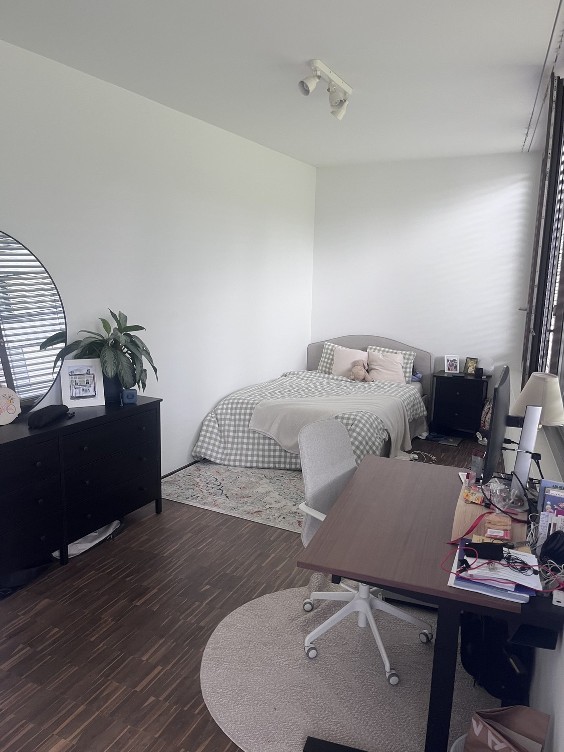 Room in a shared flat