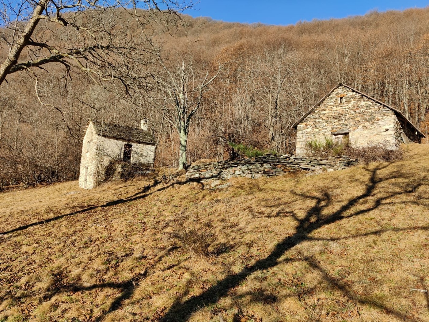 2 rooms single house
