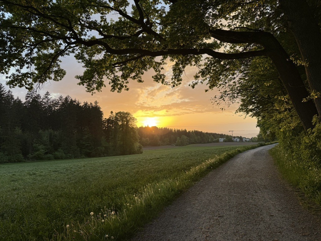2 Zimmer Wohnung