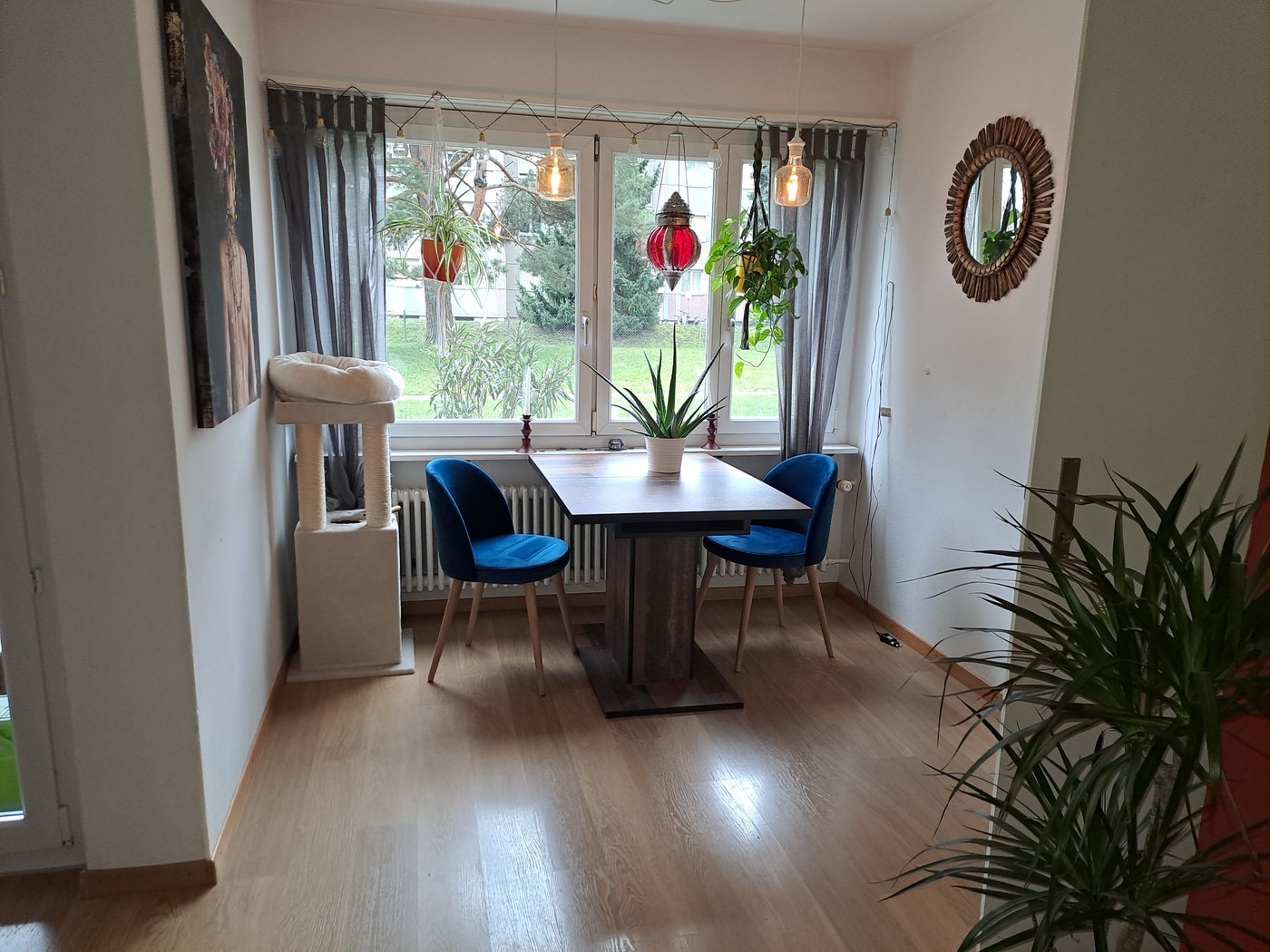 Room in a shared flat