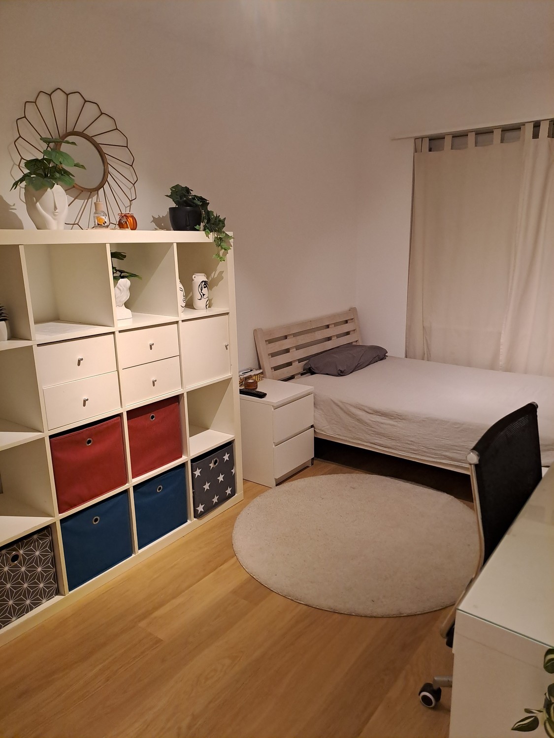 Room in a shared flat