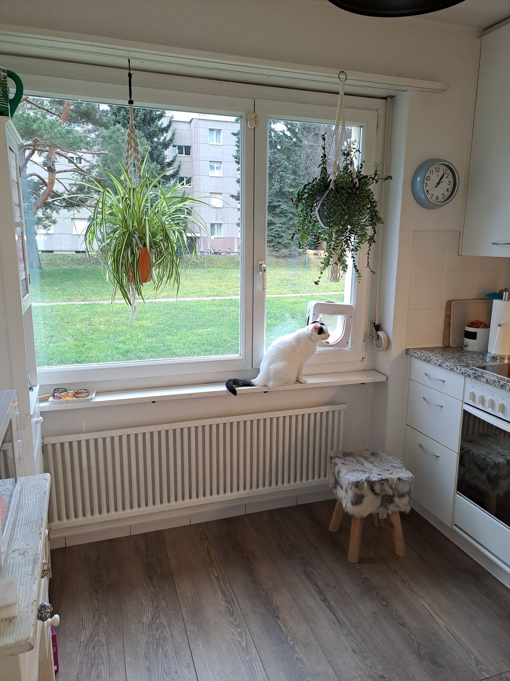 Room in a shared flat