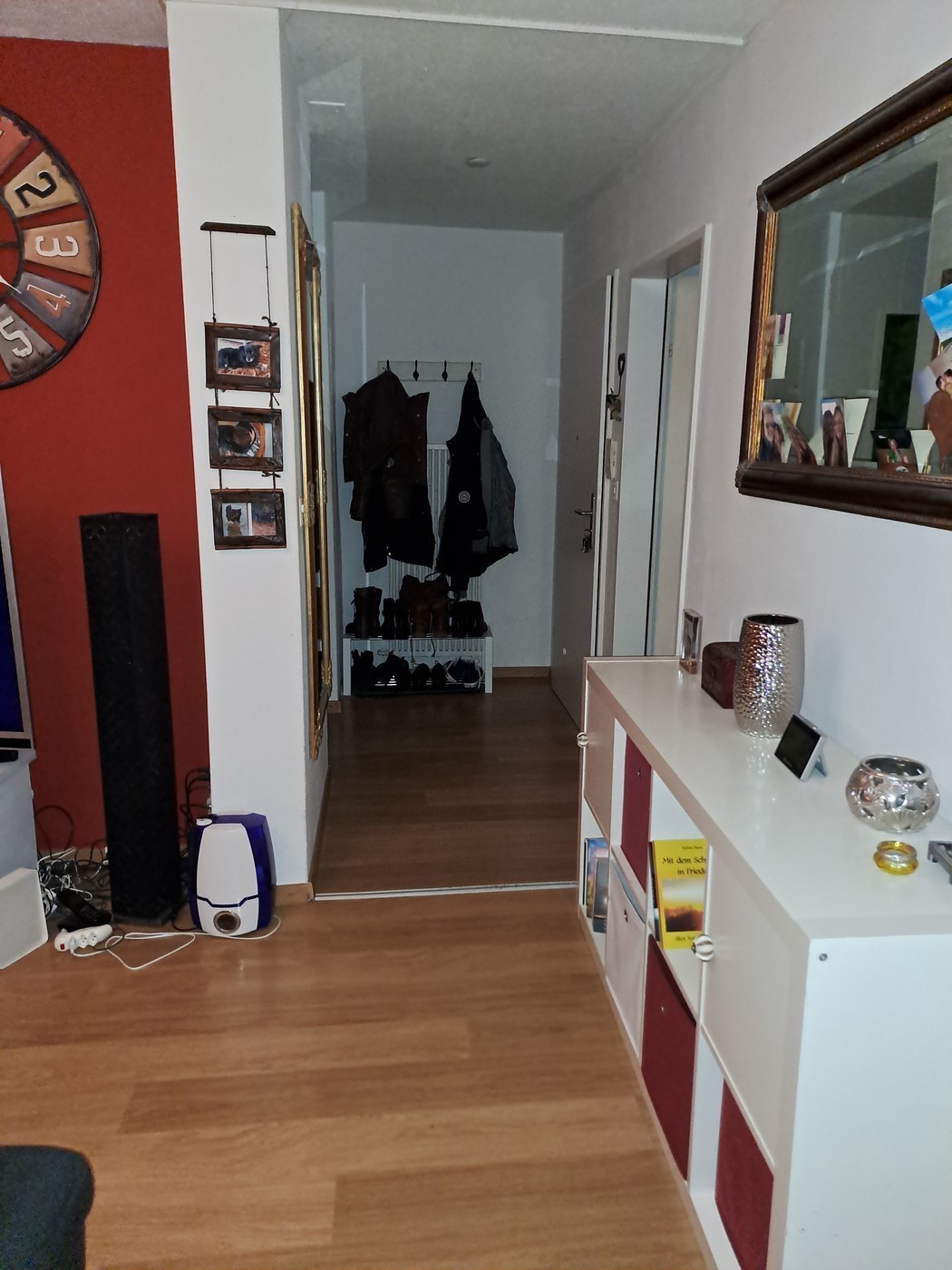 Room in a shared flat
