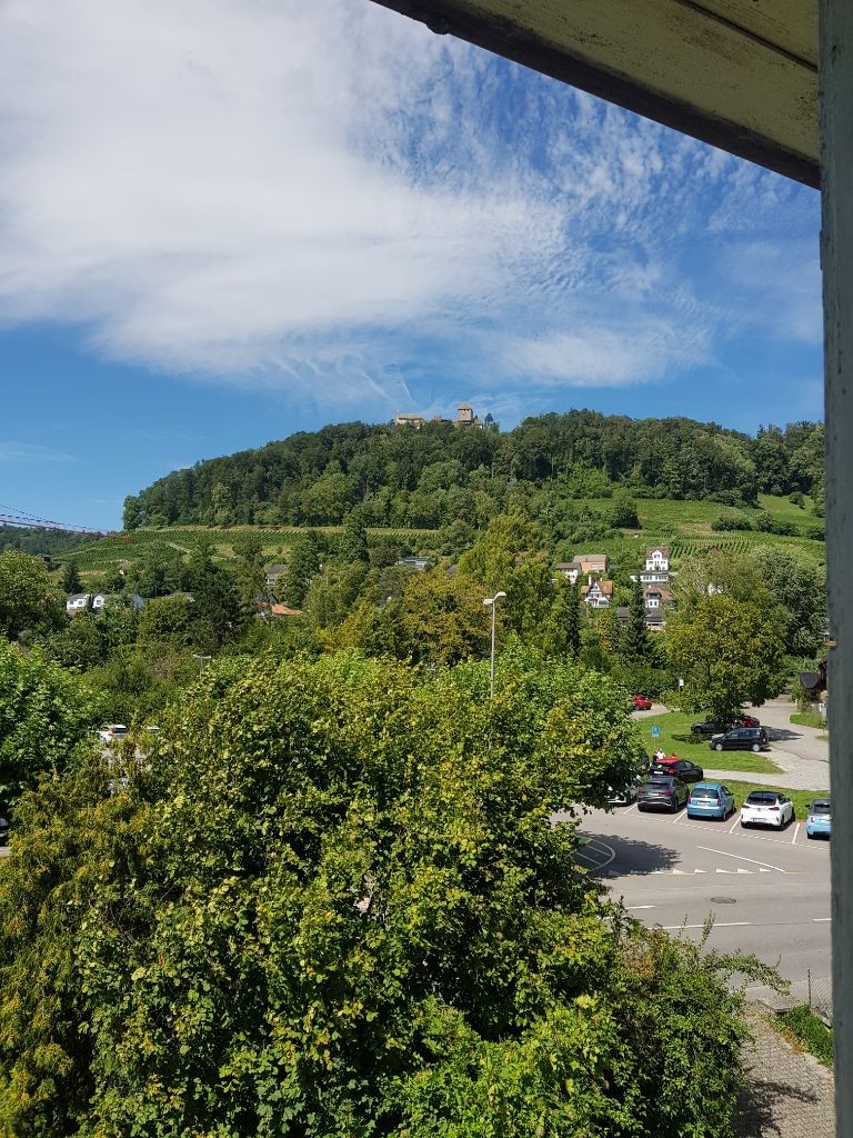 Appartamento di 3 ½ locali