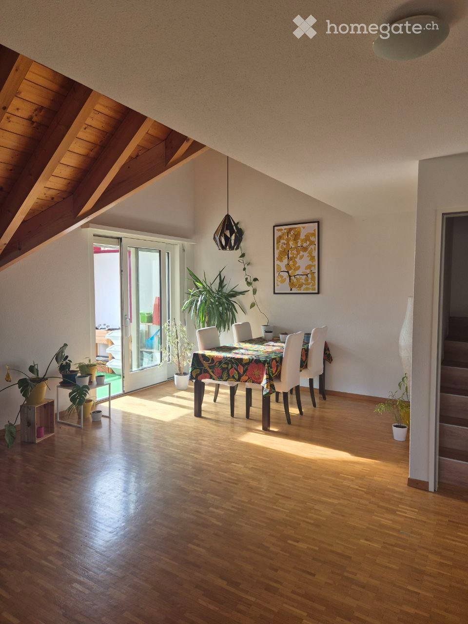 1 room single room