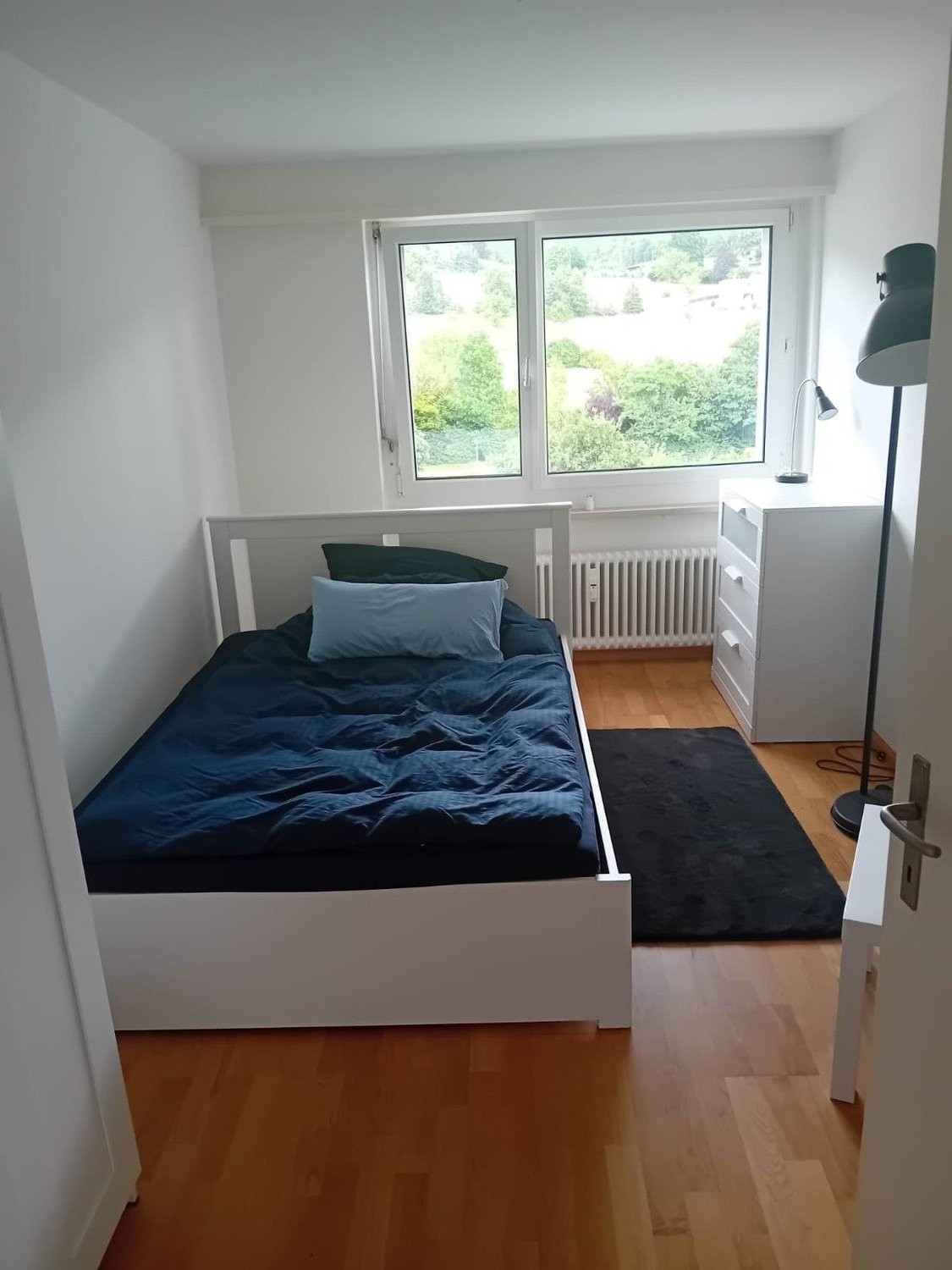 Room in a shared flat