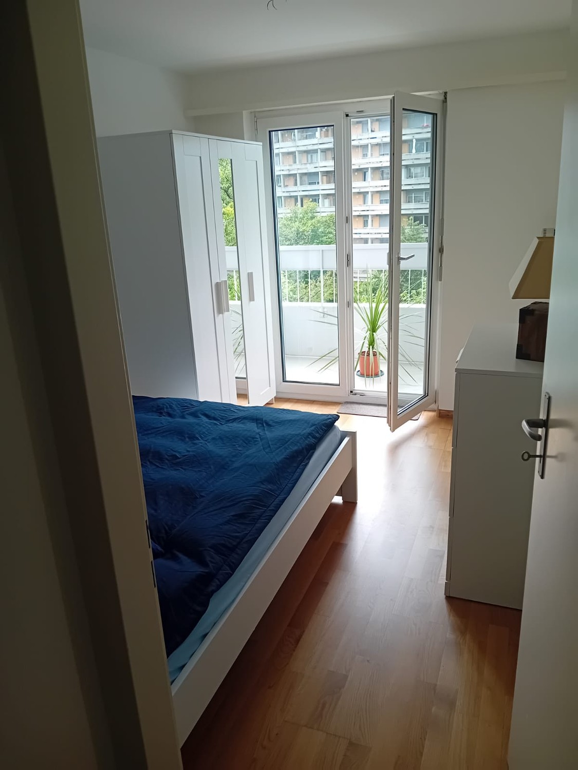 Room in a shared flat