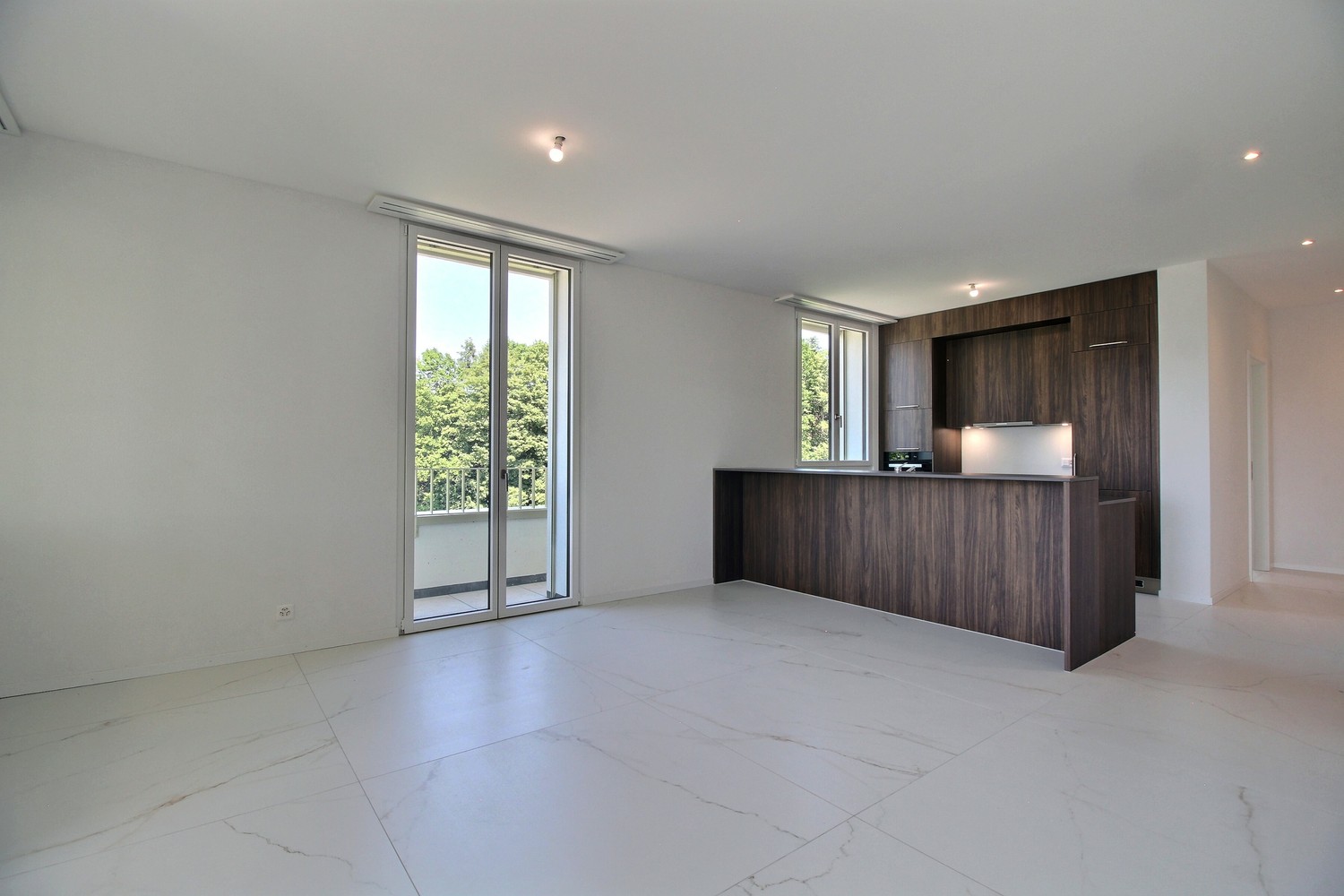 5 ½ rooms apartment