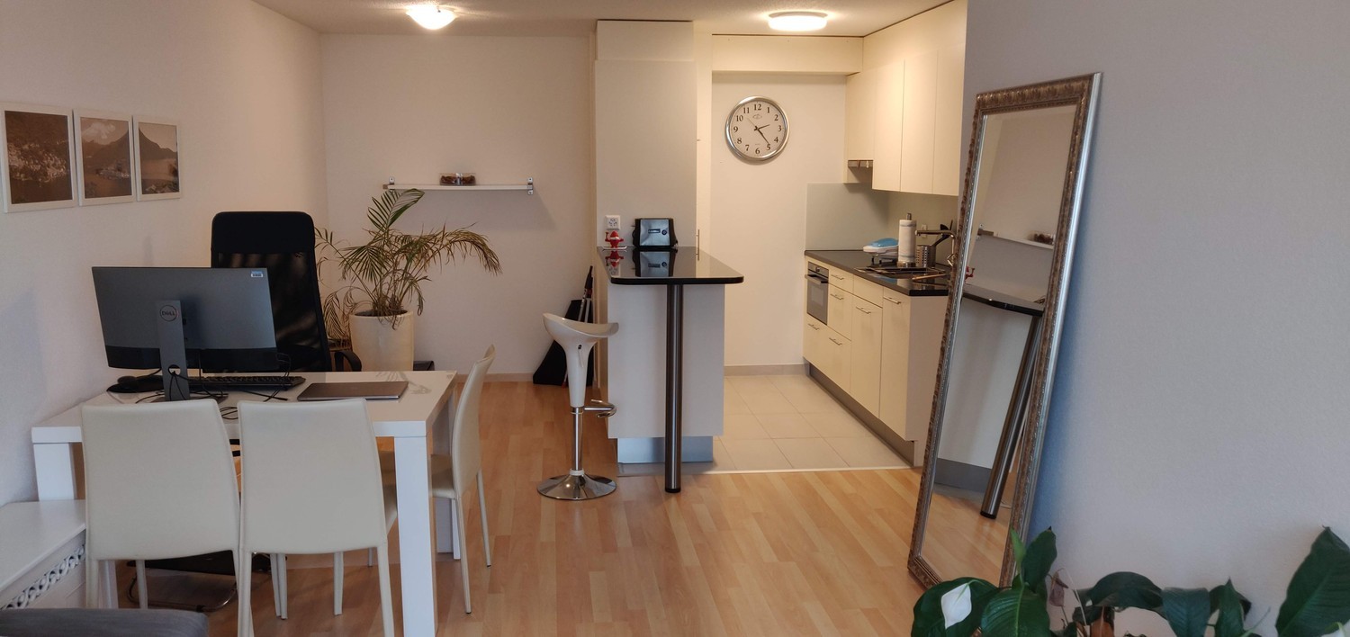 Appartamento di 2 ½ locali
