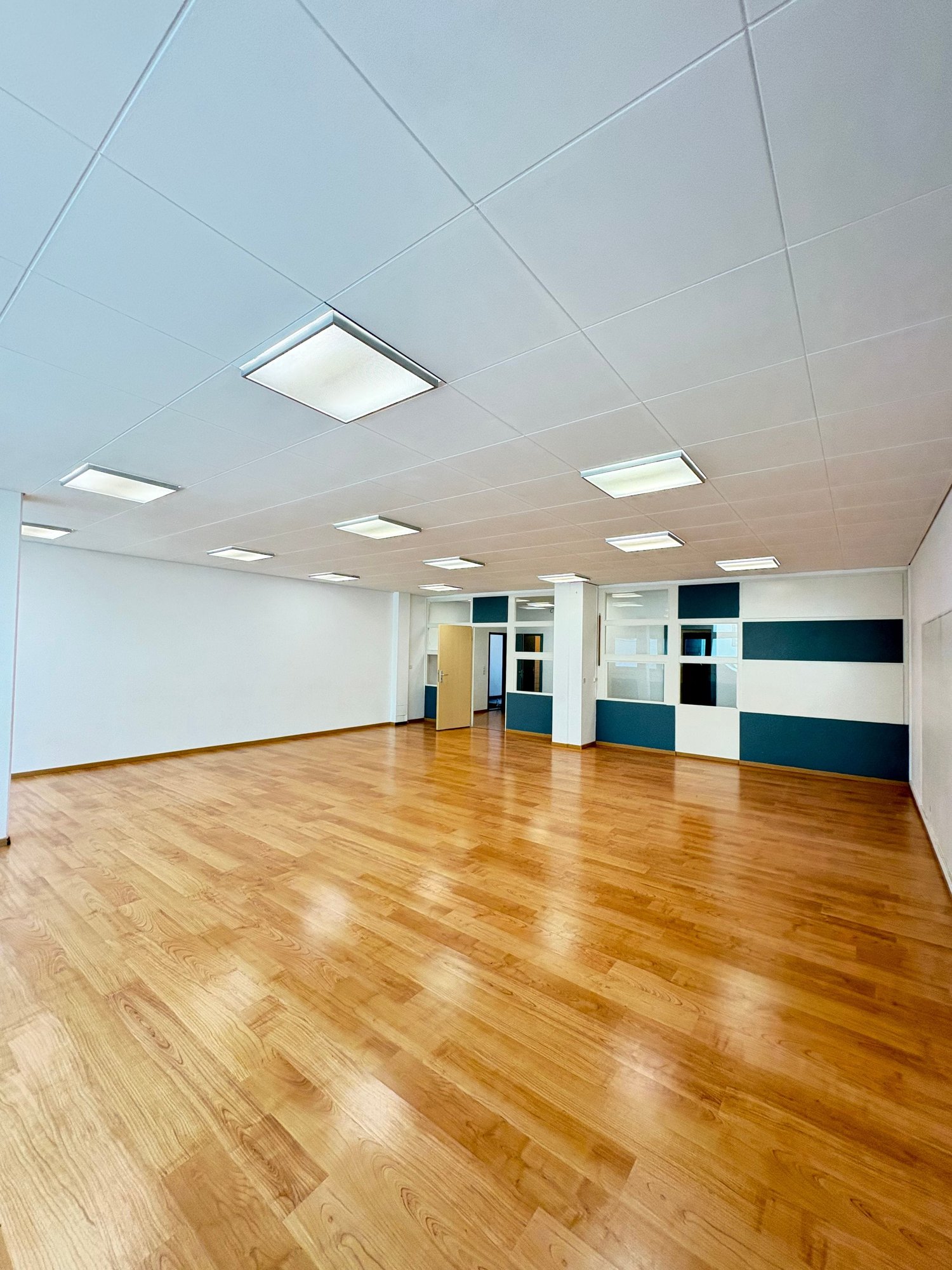 402m² commerciale