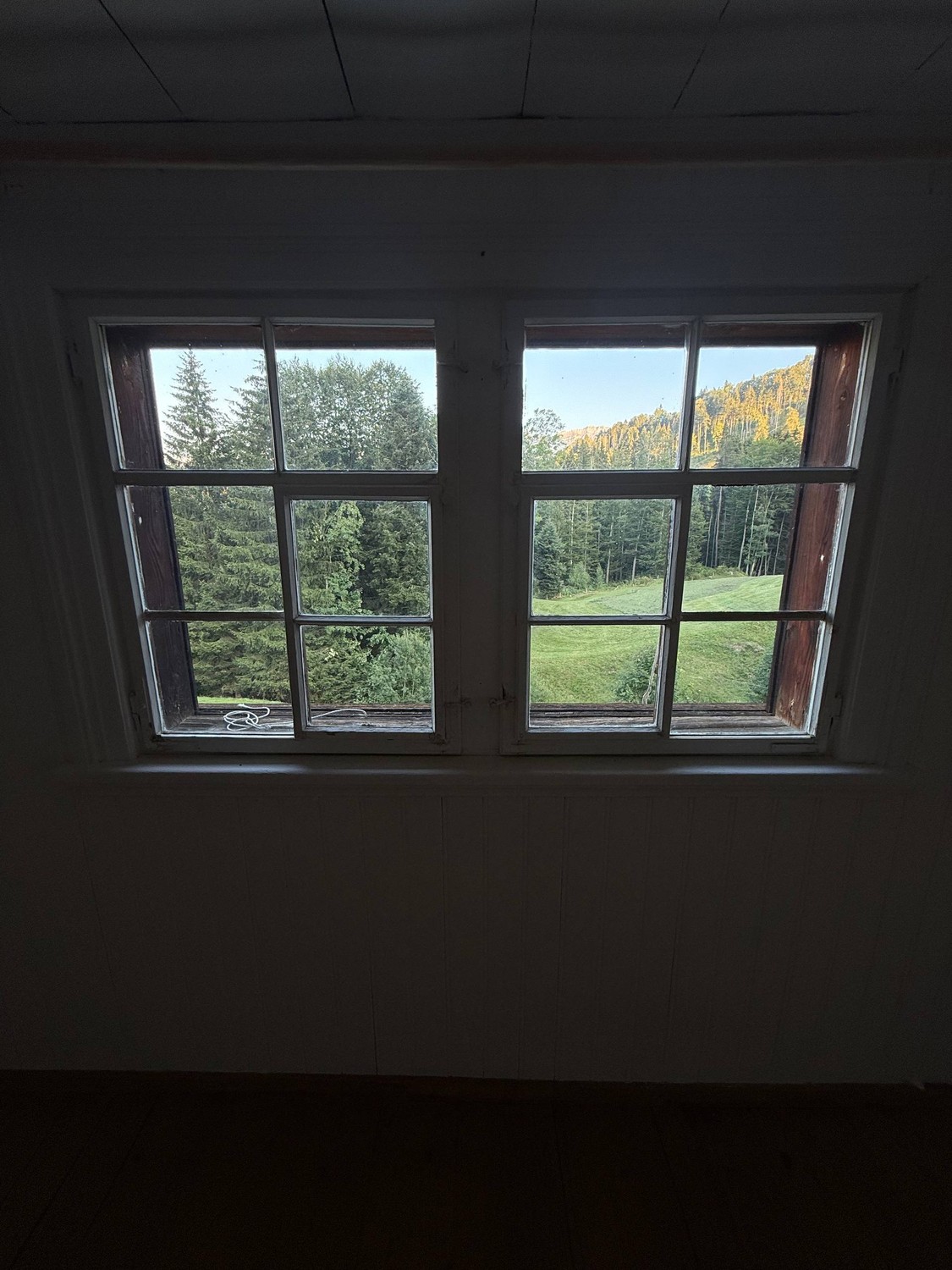 Room in a shared flat