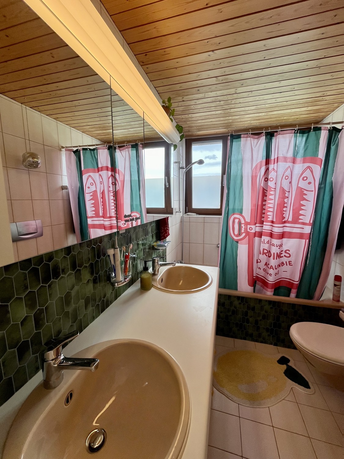 2 ½ rooms apartment