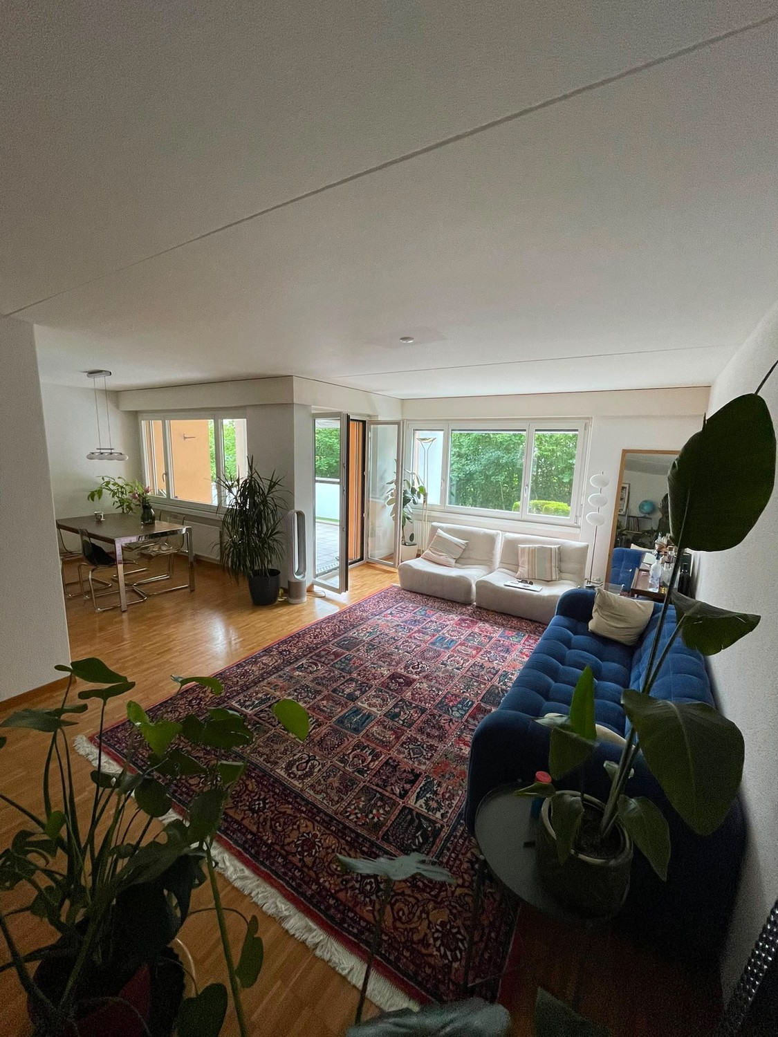 Room in a shared flat